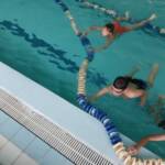 0 02 05 a5a40d669f55ebba32926f2db29393d21cc33e3ad52933bbeca32767b6ebf3d8 1ef54bea656cb162