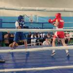 09.12.2023 р. обласний турнір з боксу до Дня ЗСУ 6 7 2