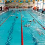 85710685 4e33 484e 92c9 493bd99dcb75